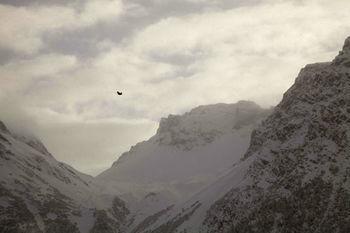 Chamanna Arosa